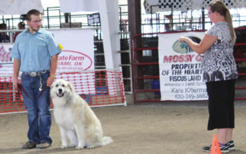 Herrenbruck completes final 4-H year