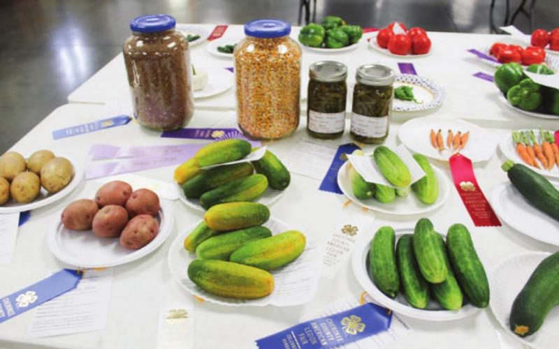 Department B; Open crops, fruit, garden Division B1