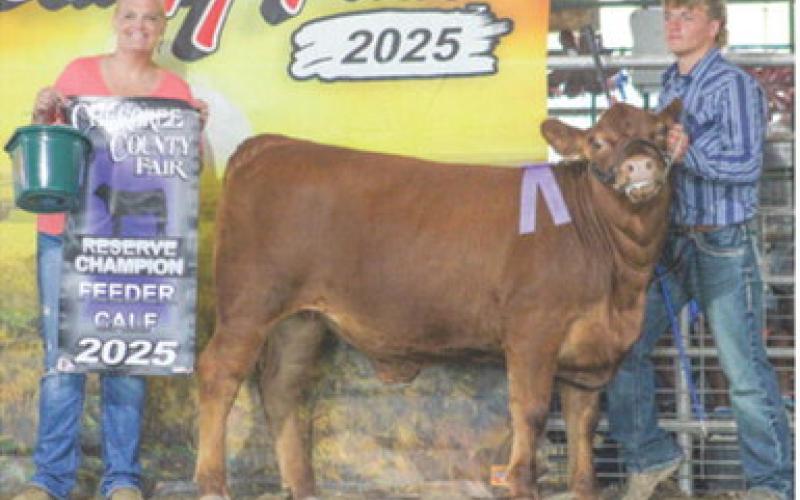 Reserve Champion Feeder Calf sponsored by Merle Ross Family went to Braun Stone.