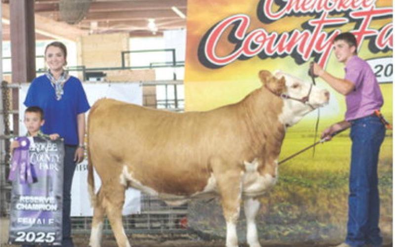 Reserve Supreme Female went to Trenton Lacen.
