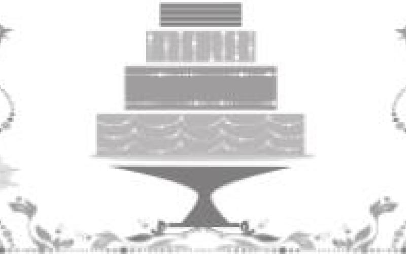 Alt Text for Image