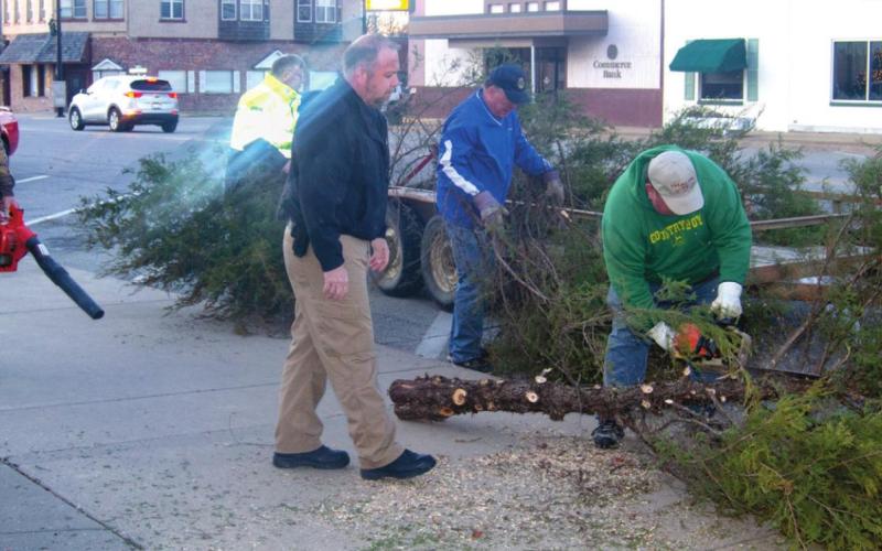 Lions Club members take down tree
