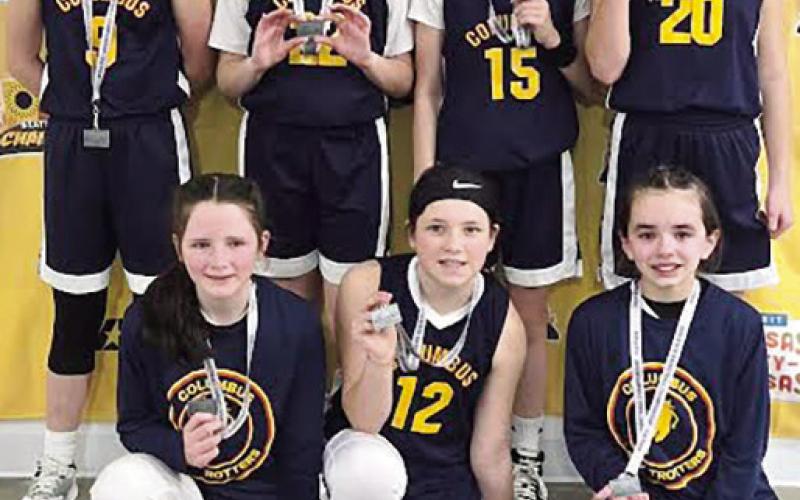 Local teams in state tourney