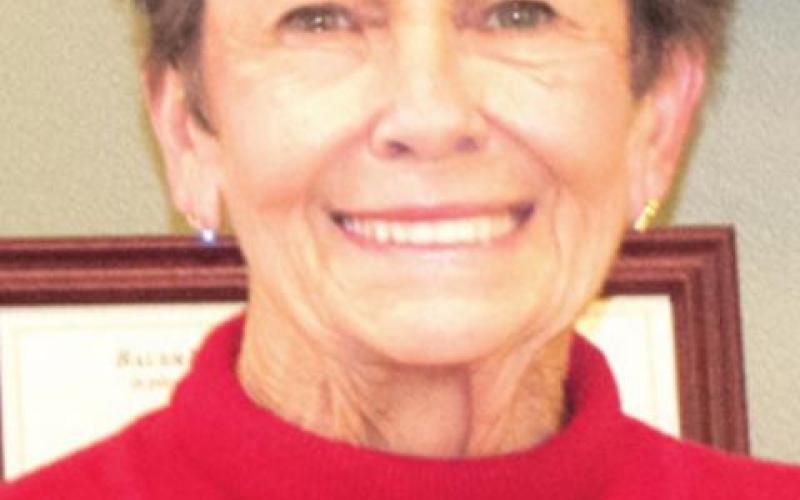 Vice-President Judy Hill