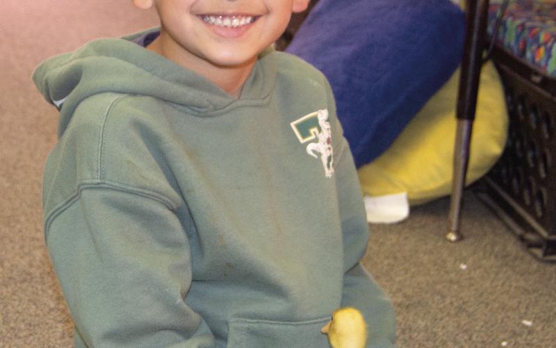 Park Elementary Kindergarteners recently followed ducks from incubation to hatch day. Kindergarteners learned all about the duck eggs and the different stages of their development. Dean Flynn is holding one of the hatched ducklings. News Report photo by Tanya Woolsey.