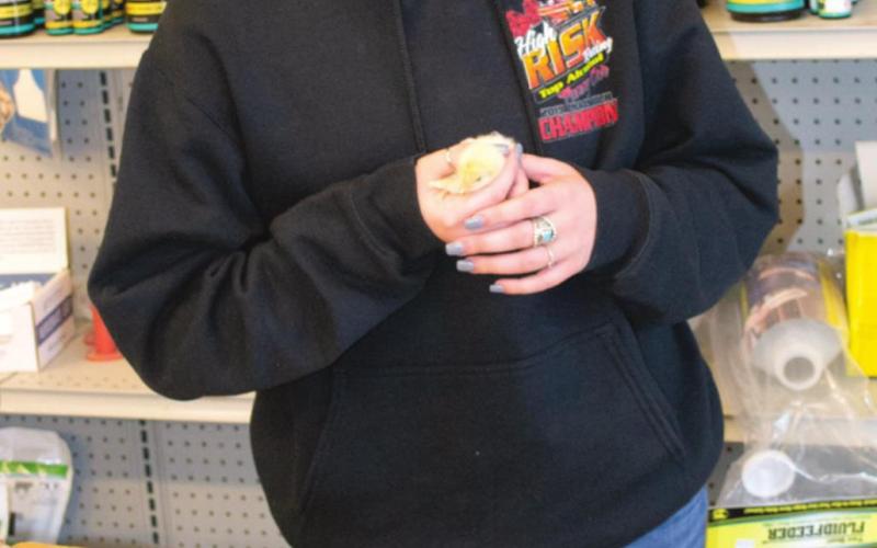 Chick day at the Baxter Springs Coop