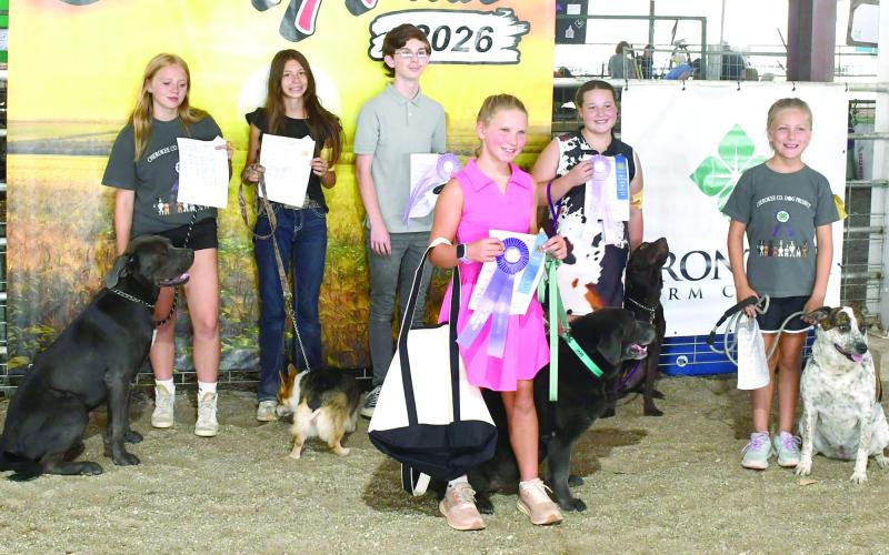Heritage Youth Association, FFA and 4-H members participated in the Showmanship class during the Cherokee County Dog Show held during the fair. Ribbons were awarded for their efforts.