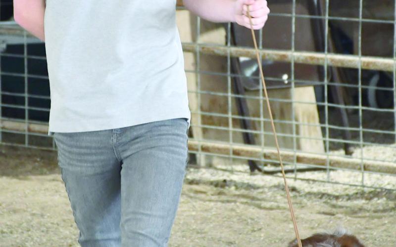 Gentry Holt and his canine companion competed in the Showmanship class during the Cherokee County Dog Show during the fair. Holt was awarded a Reserve Champion ribbon. He was also awarded a Grand Champion ribbon in the Agility Class.