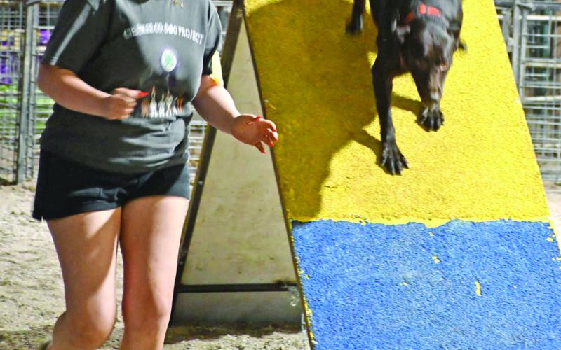 Airauna Sharp runs her dog through the course during the Cherokee County Fair dog show. Competitors participated in Rally, Agility, Obedience and Showmanship classes. Sharp received a Grand Champion ribbon in the Obedience class.