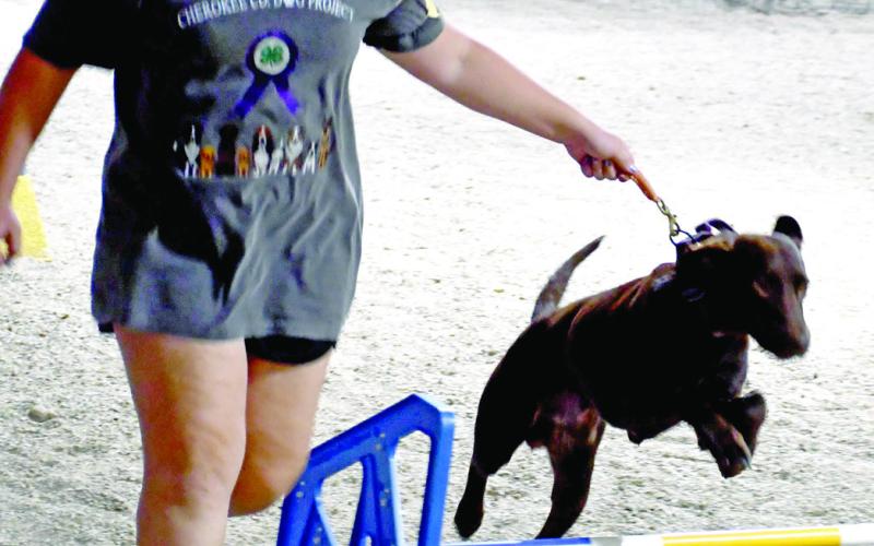 Mila Andrews and Junior competed in the Cherokee County Dog Show during the fair. Andrews received a Grand Champion ribbon in the Agility class.
