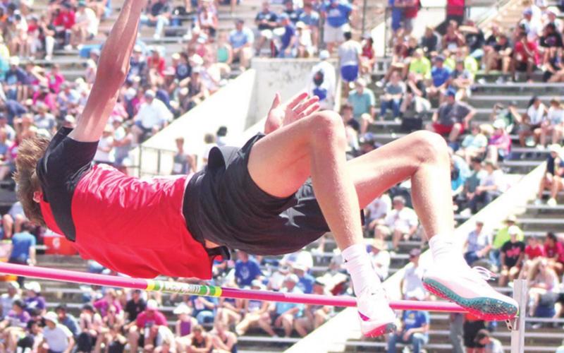 Ungeheuer wins state high jump championship