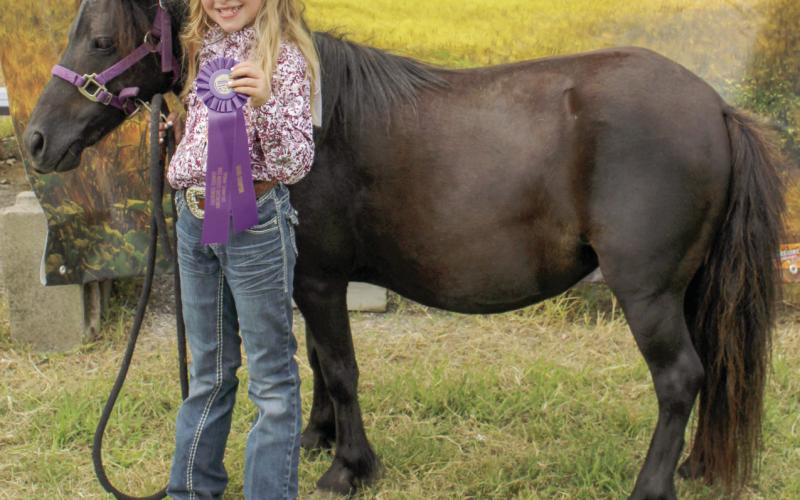 Cherokee County 2024 horse show grand champions