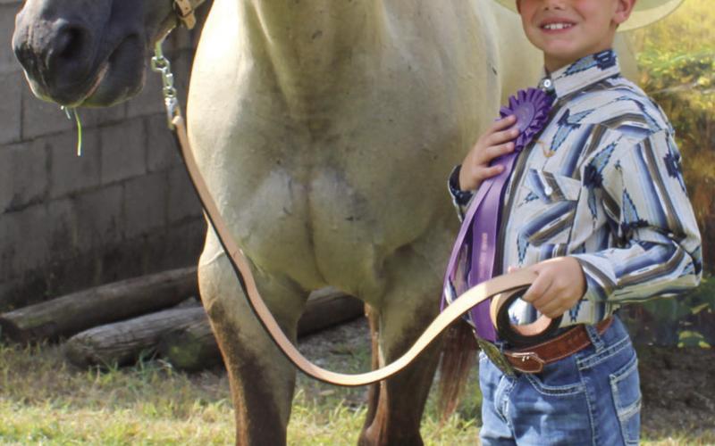 Cherokee County 2024 horse show grand champions