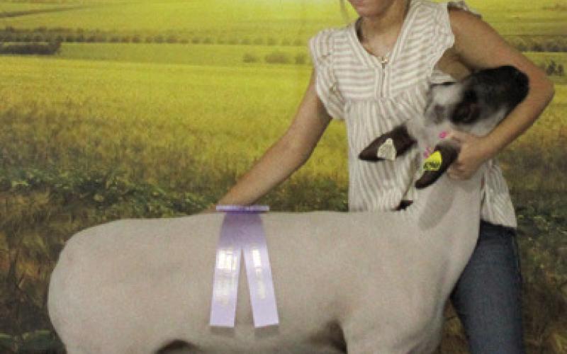 Reserve Showmanship went to Emma Duling HYA. Grand Champion Market Lamb also went to Duling. Photo by Jadeyn Ivey.