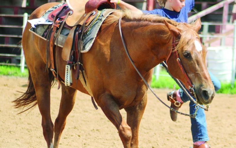 Appearing as if she is suspended in air, Elisabeth King quickly dismounted her horse while competing in the ages seven-nine Goat Stripping class during the Cherokee County Horse Show Saturday, July 12.