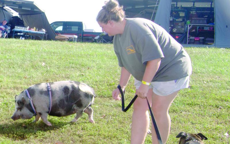 The most unusual pet at the Big Iron Overland Rally held at Big Brutus this Friday and Saturday was this full grown pig which is the pet of Owen and Jennifer Onelan. The Bartlesville, Oklahoma lady said the value of this porker is “priceless.”