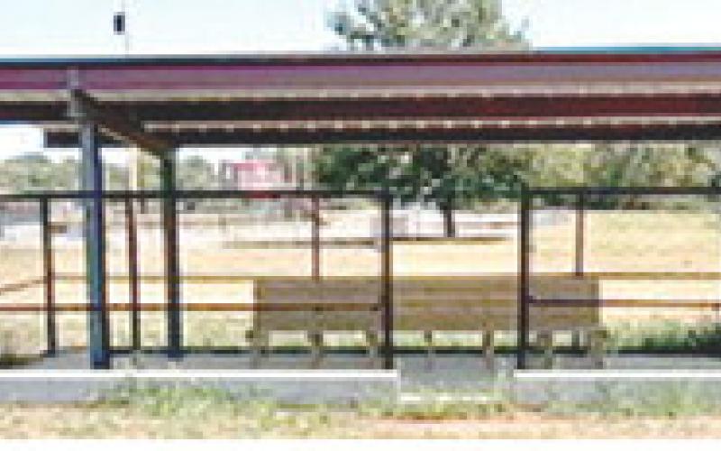 New dugouts on the Volunteer (Cal Ripken) Field made possible by a grant from Columbus Area Community Foundation included new benches for the players and coaches. Courtesy photo.