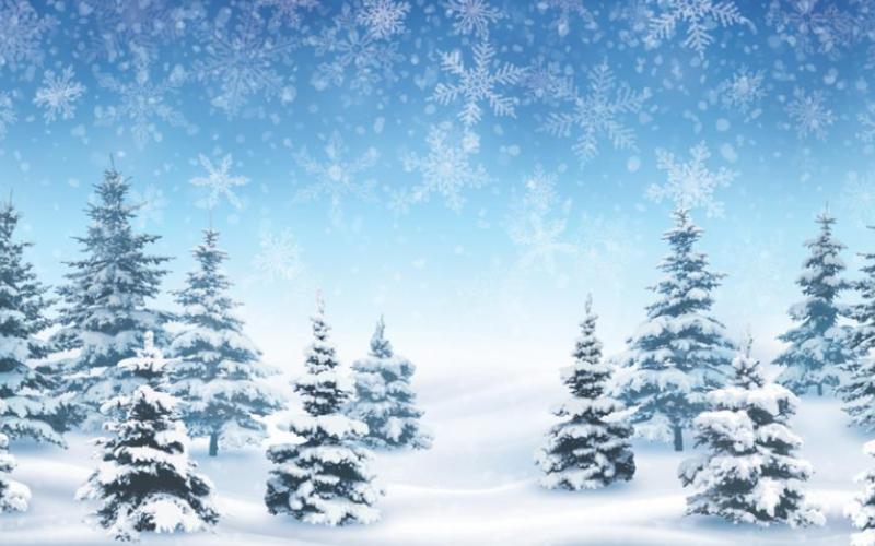 Columbus Central seventh grade ‘Snow Day Poems’