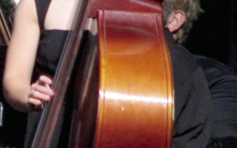 It takes concentration and skill to play the bass. The deep tones are an asset to holiday theme.