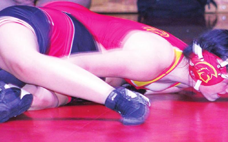 Lady Titan Wrestlers place third at Indy tourney