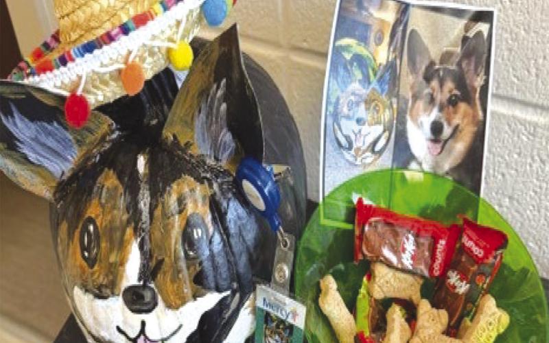 Even Bader the Corgi had a pumpkin decorated in his likeness. He was one of the entries in the annual Mercy contest. Courtesy photo.