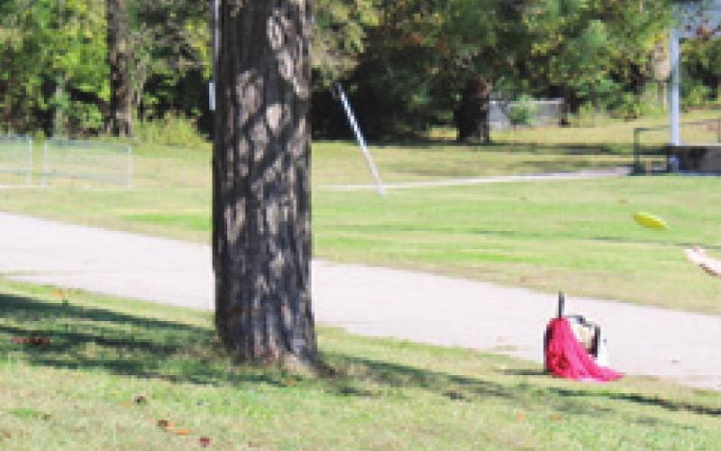 Baxter Springs disc golf tournament draws large number of competitors