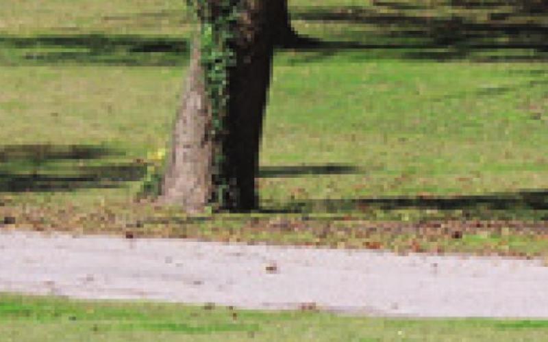 Baxter Springs disc golf tournament draws large number of competitors
