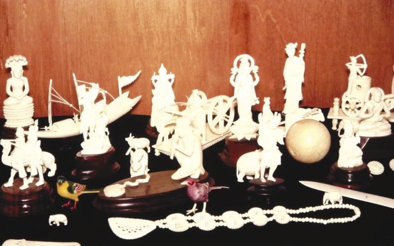The valuable 250 piece carved ivory collection donated to the museum in 1960 by Fred T. Evans, was stolen less than 19 years later. The crime has never been solved.