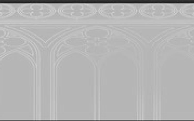 Alt Text for Image