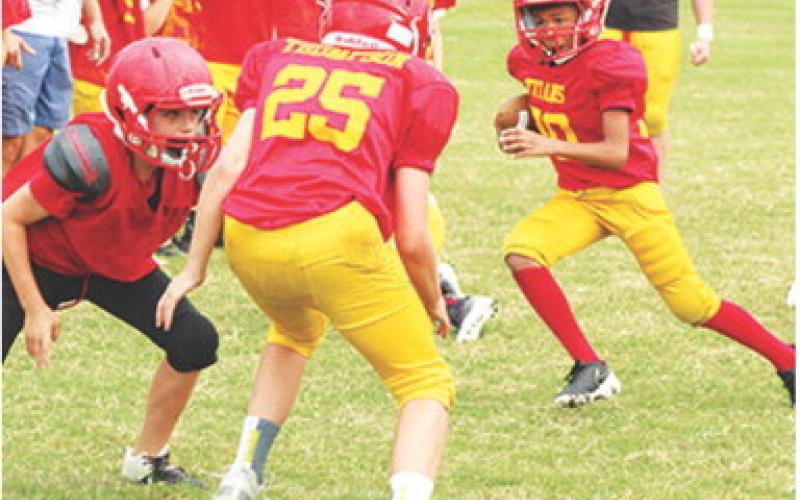 Mini Titans on display at scrimmage