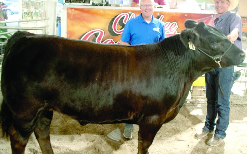 The 2024 Grand Champion Market Beef shown by Columbus FFA member Cole Youngblood at the Cherokee County Fair. The Angus beef was sold in the premium auction for $3,400 to Crossland Construction in Columbus. Youngblood is the son of KC and Courtney Youngblood.