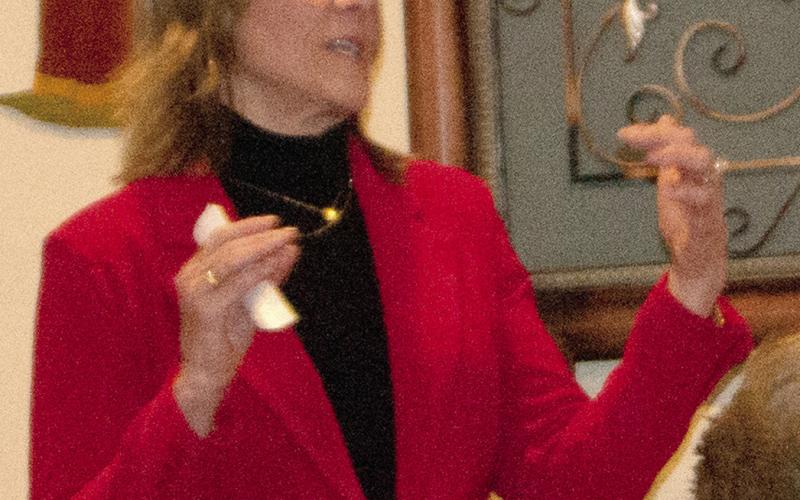 City treasurer DeAnn Auman-Hill