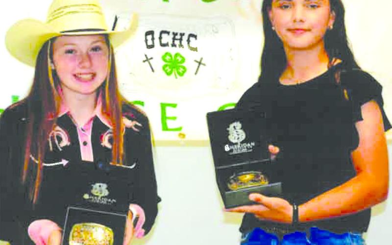 Area equestrians compete in memorial show