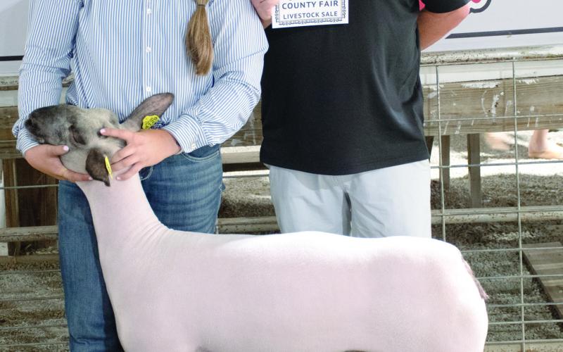 The Grand Champion sheep shown by Kynlee Sommer, Spring Valley Sparklers, was purchased at the premium auction by Jay Hatfield Auto Group represented by Brian Wellmeier.
