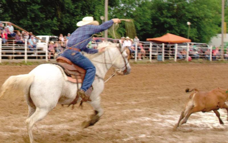 Bull riding, rodeo action at Columbus Saddle Club arena