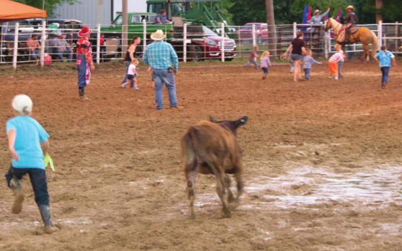 Bull riding, rodeo action at Columbus Saddle Club arena