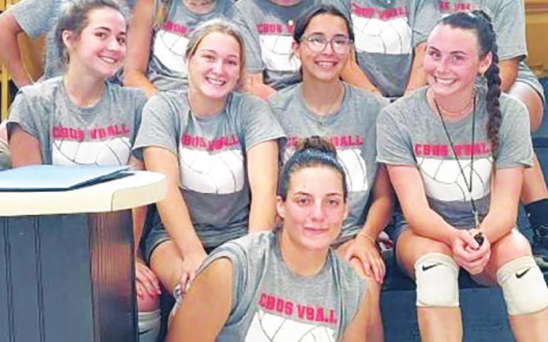 Volleyball in summer league