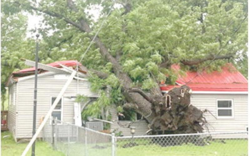 A strong storm tore through Columbus late Monday afternoon breaking limbs and uprooting trees. Damage was done to several homes and structures. Courtesy photo.