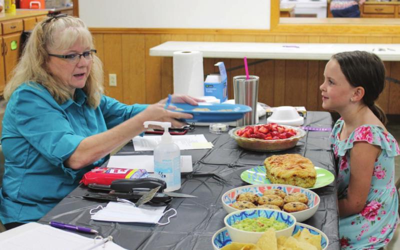 Duties, standards, responsibilities of 4-H project judges