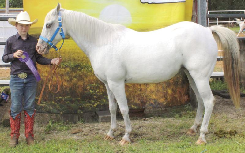 During annual Cherokee County Horse Show Maximillian Wyatt was named Grand Junior Showman.