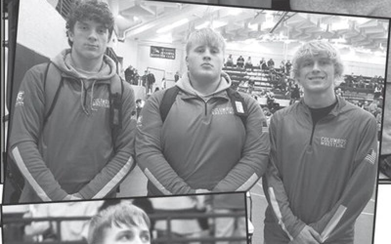 Titans of the Week
