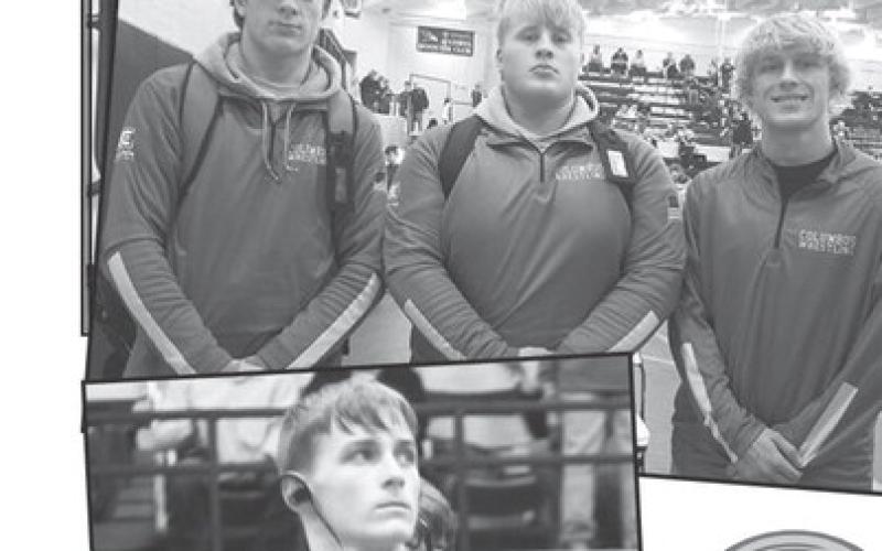 Titans of the Week
