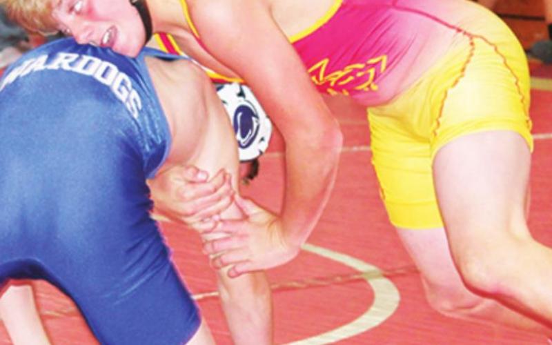 Alt TCentral Wrestlers on home mats