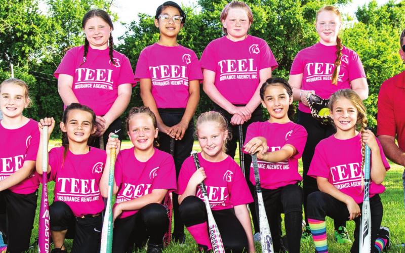 Columbus 10U softball teams