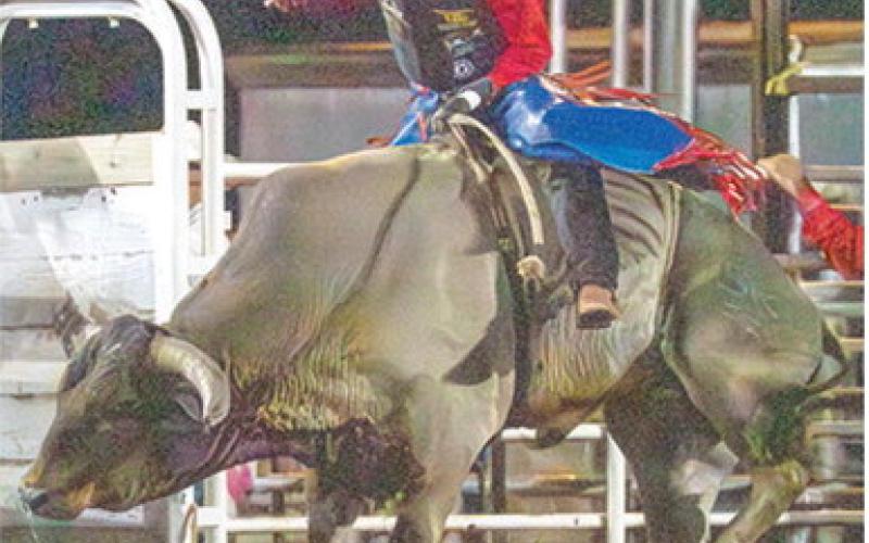 Local cowboy Cal Saporito, had a wild ride in the recent Columbus Saddle Club Rodeo, May 12-14, at the Saddle Club Arena. Cal was the lone bull rider from Columbus and while his ride didn’t end as he would have wanted, the Fort Scott Community College commit, will have plenty of chances as he rides with the FSCC Rodeo Team throughout their 2026-27 season. Photo courtesy of Nate Jones Photography.