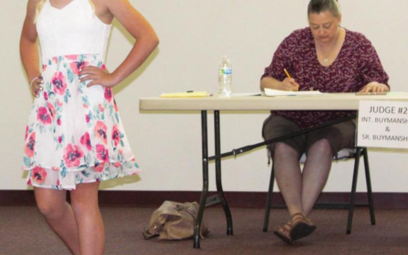 Tips to consider for presentation of projects to judges