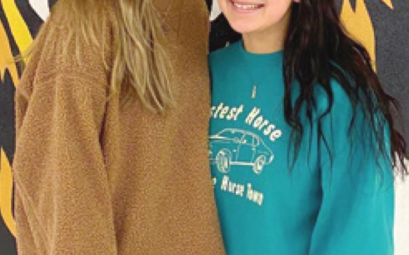 Lady Lions earn postseason honors