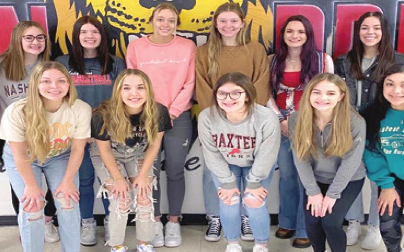 Lady Lions earn postseason honors