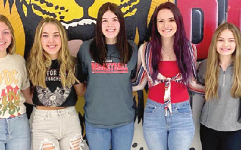 Lady Lions earn postseason honors