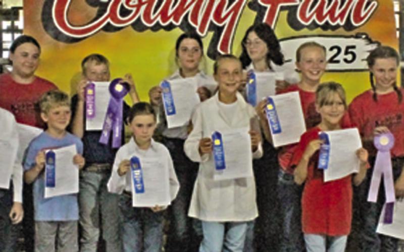 Ribbons were awarded in the 4-H, FFA and Heritage Youth Association poultry classes. Photo by Jadeyn Ivey.